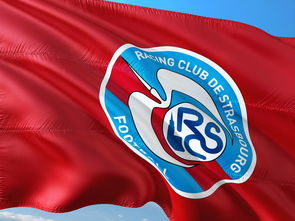 爱游戏官方登录入口-帕尔梅拉斯球队目标明确，誓夺世俱杯最高荣誉